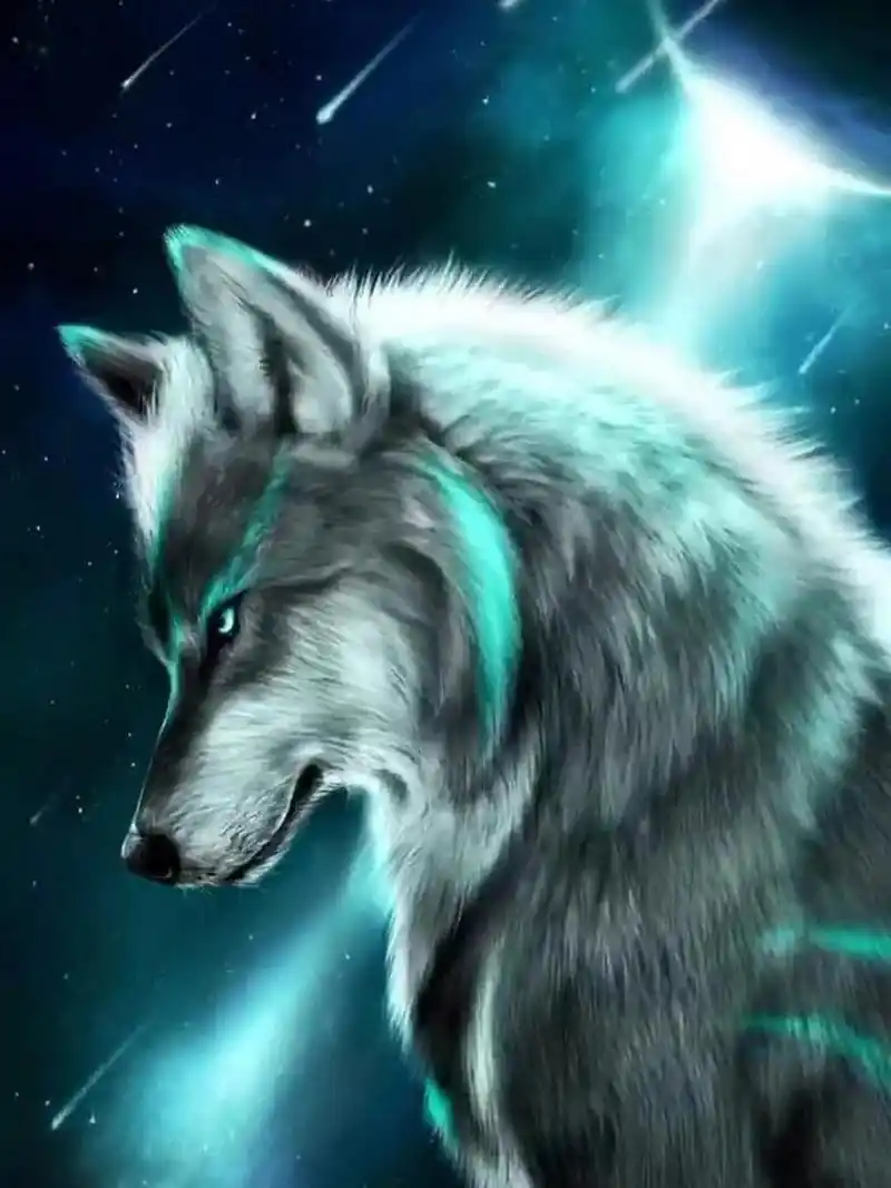 有和我一样喜欢狼的朋友嘛 这里有我最喜欢的几张狼的图片,超霸气!