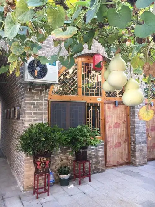 山西行之三:活着的古镇——碛口