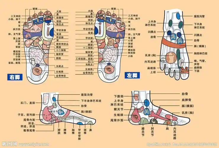 共享4d包裹式脚底按摩器,免费投放,诚招代理!