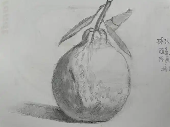 1.丑橘 16 feb 20202. 14 feb 20203. 秦琼 7 feb 20204.