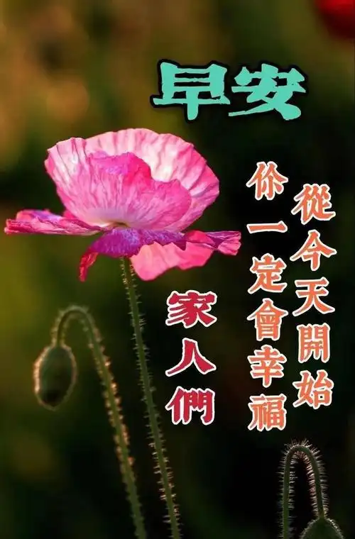 高清早晨问候图片,早上好祝福图片