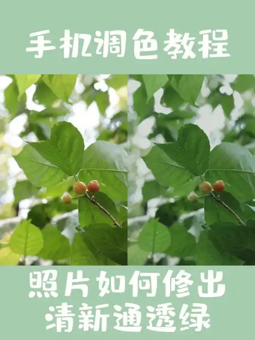 五一出门你需要get这个手机调色教程60