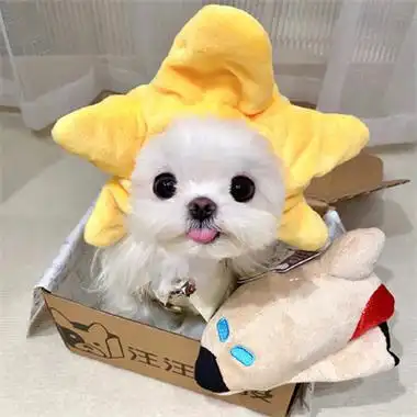 超级可爱的高清版小动物头像 乖巧呆萌的小动物头像合集