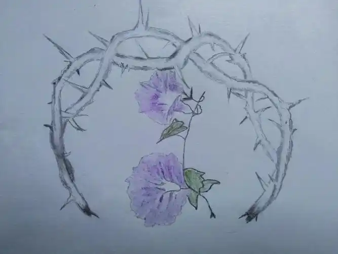 童话荆棘的忧伤