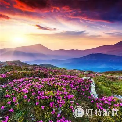 微信最吉利的好看头像2018_2018微信带来好运的吉利