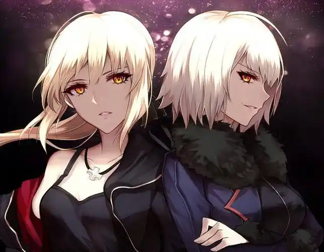 alter 黑贞 黑saber