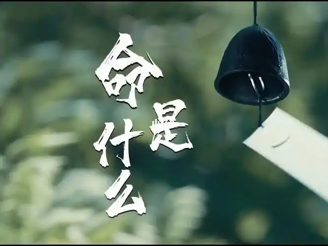 都说性格决定命运果真如此吗