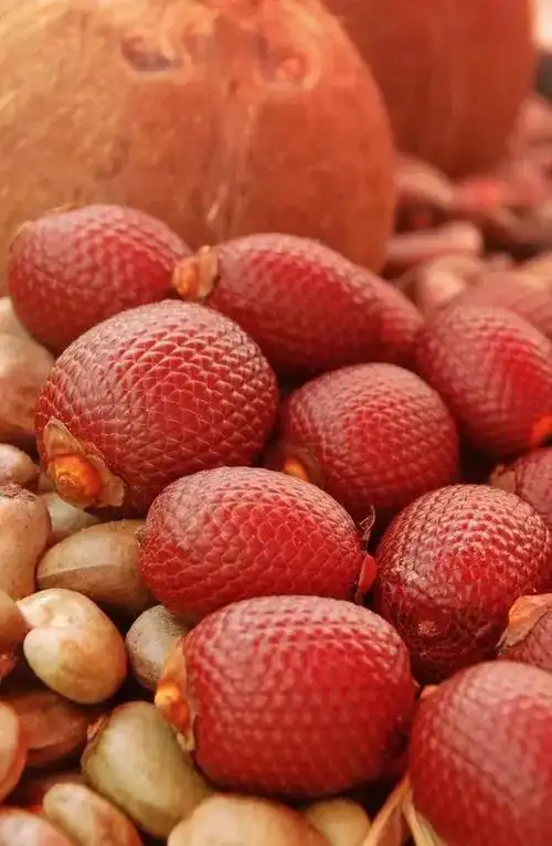 常见的水果种类100种(100多种罕见水果欣赏)