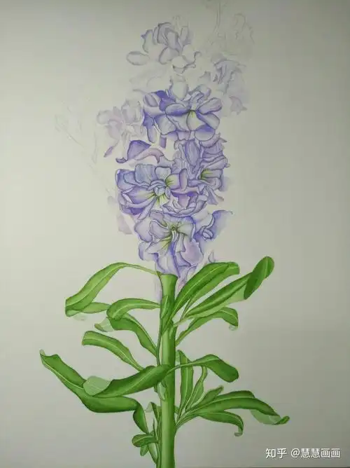 零基础水彩紫罗兰:第二幅完工的水彩画