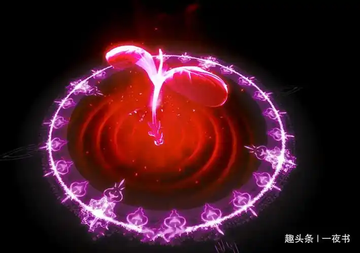 斗罗大陆 魂环介绍