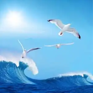 自信正能量头像高清好看的阳光正能量的微信头像图片