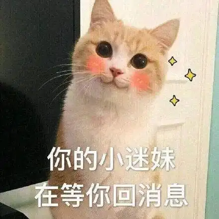 按键盘杰瑞鼠一组猫和老鼠动态表情包67卡通表情