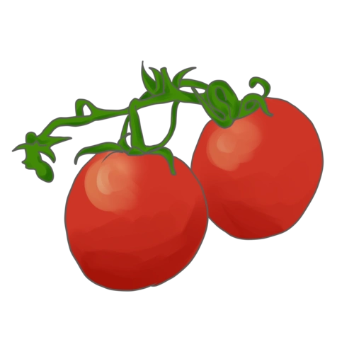 手绘蔬菜西红柿插画
