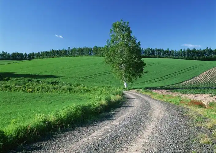 乡间小路 - 第5张