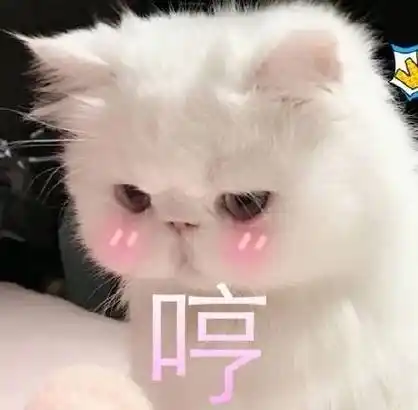 一组萌萌的猫咪表情包