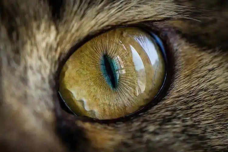 眼神的深邃与深渊