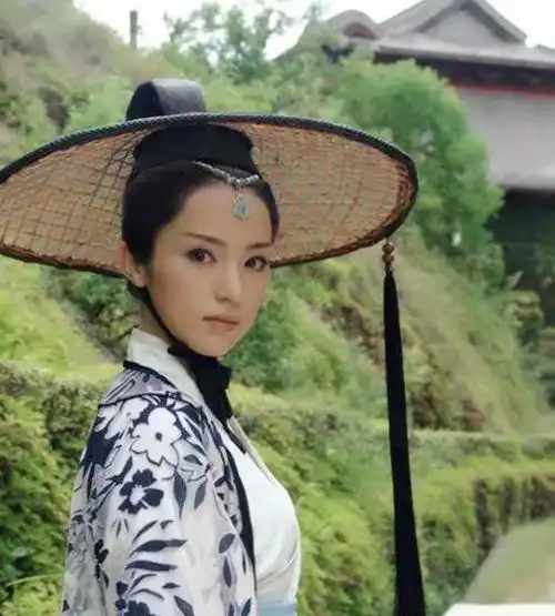 从《雪花女神龙》的上官燕,到《神探狄仁杰》双胞胎姐妹,再到《狸猫换