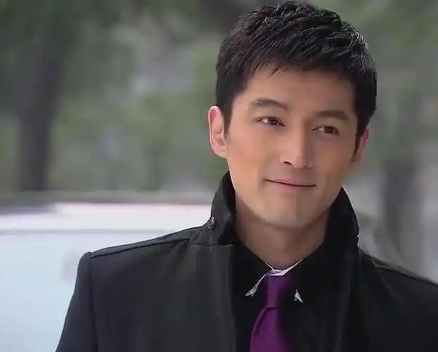 胡歌的电视剧有哪些(胡歌的电视剧)  第13张