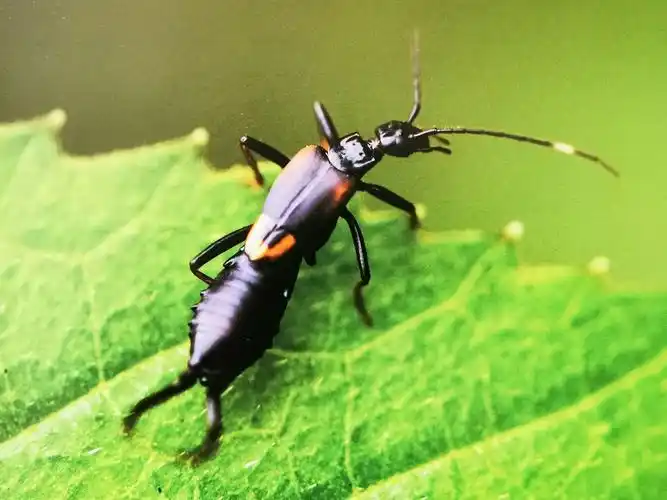 参观宋文渭先生摄影作品展