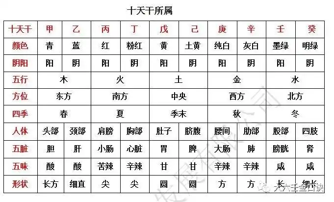 十天干与十二地支所属