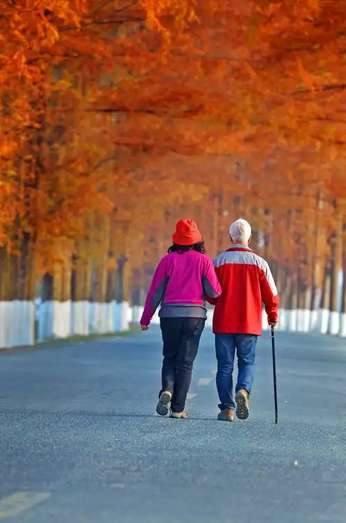 最美的背影 秋天的夕阳下,一对老人,撑扶着行走在美丽的景色中,这可能