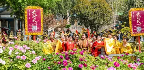 第35届牡丹花会_洛阳市王城公园