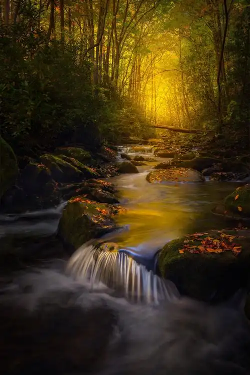 其最新一届比赛提供了一组令人惊叹的图像,从梦幻风格的山景到