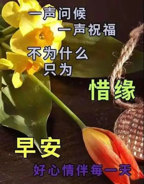 早上好朋友,清晨温馨早安问候语带图片 2021新版早上好温馨图片带字