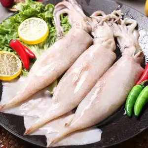 新鲜大鱿鱼整只图片