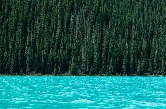 古镇旅游攻略,带您走进古镇的美丽风景_游客_图片_html