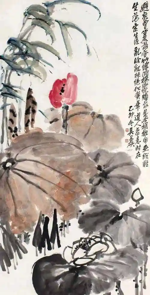 吴昌硕:画荷最忌呆黑