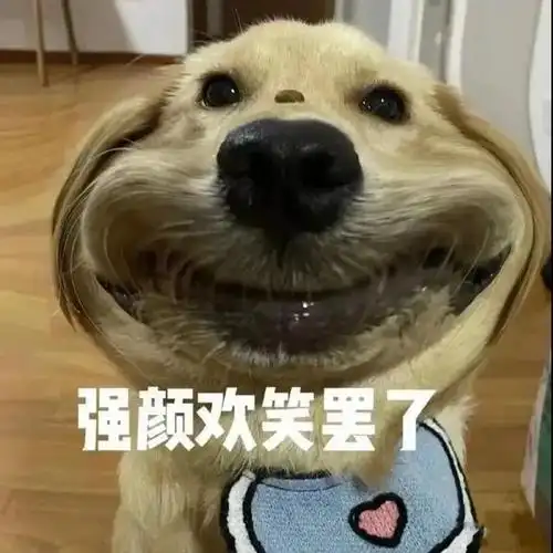 强颜欢笑无奈的表情包,强颜欢笑表情包(可爱搞笑的表情包)