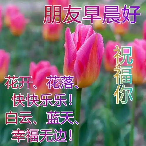 原创真挚的早安祝福文字图片深深的早上好问候美图