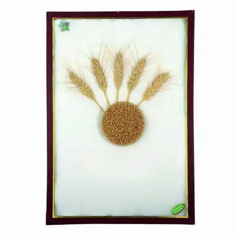 一粒种子的持久战