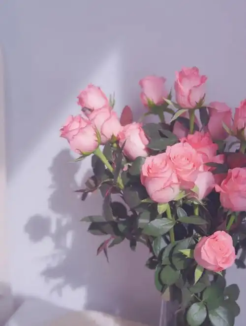 因为你要做一朵花,才会觉得春天离开你;如果你是春天,就没有离开,就