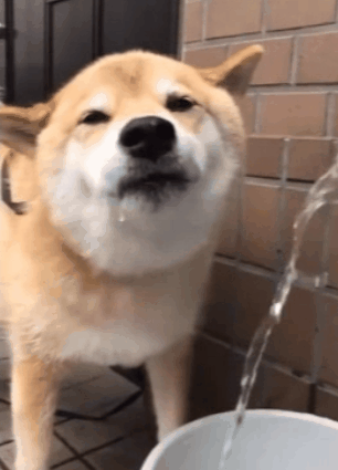 306_425竖版 竖屏gif 动态图 动图