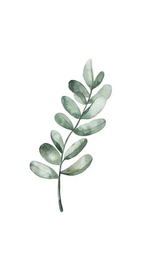 唯美手绘植物插画高清桌面壁纸