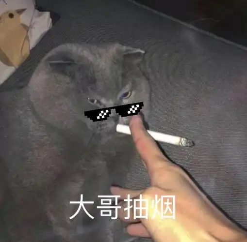 大哥抽烟(猫猫表情包)