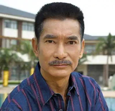 香港影视武打/动作明星大全(男篇,下)