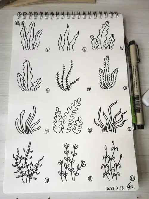 画个简笔画  #手帐  #手帐素材  #寻找小红书绘画大神  #海草