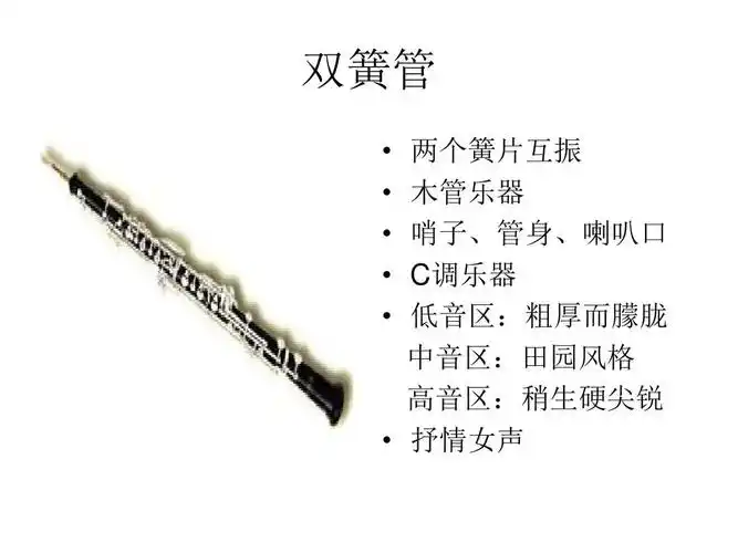 音乐欣赏--西洋管乐器.民族弹拨乐ppt