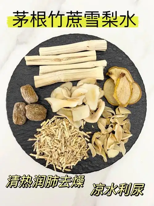 笔记灵感材料:茅根 竹蔗 雪梨 蜜枣 百合 海底椰功效:清热下97