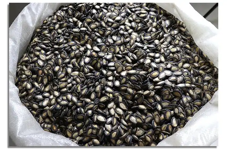 京选优品生西瓜子籽中片大片黑瓜子原味生的散装大片生瓜子2斤