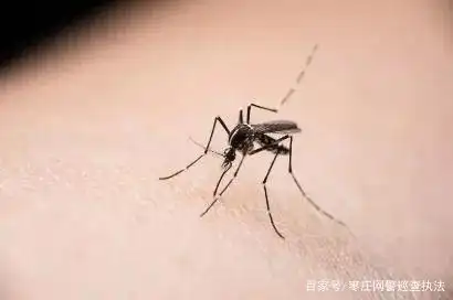 痛!长沙男子餐后叼着牙签打蚊子,不慎将牙签拍入手掌心!