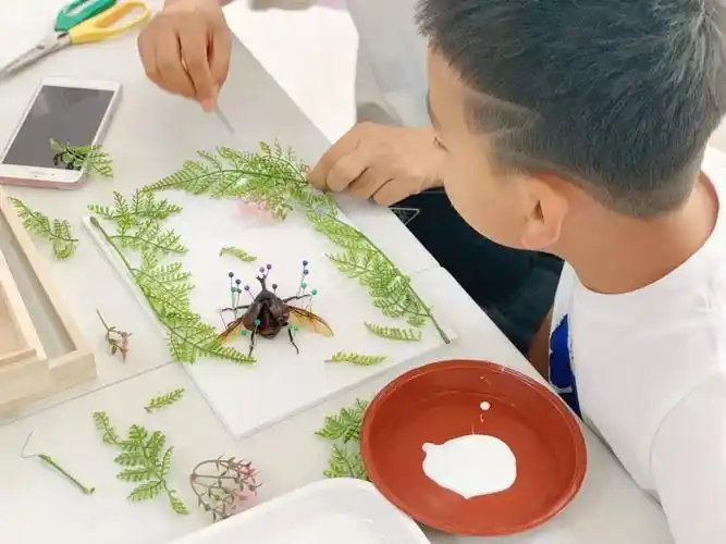 工作动态昆虫标本科普活动