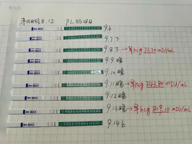 大卫早早孕试纸深浅与hcg值对比
