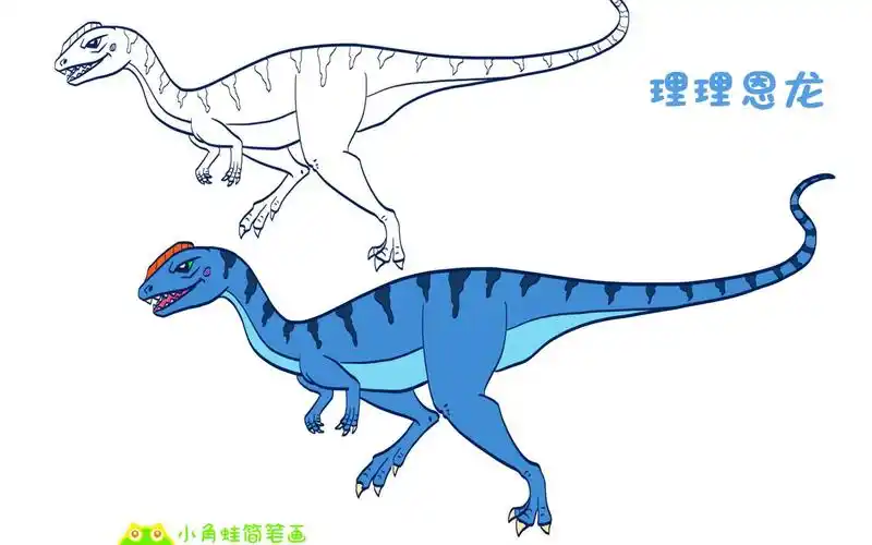 简笔画大全,理理恩龙