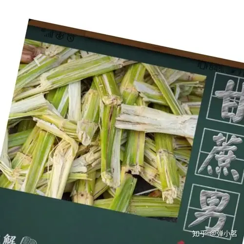 网上说的甘蔗男与奶茶女是什么意思?