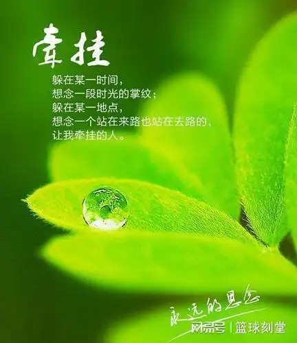 彼此的牵挂是修来的福相互问候是难求的缘