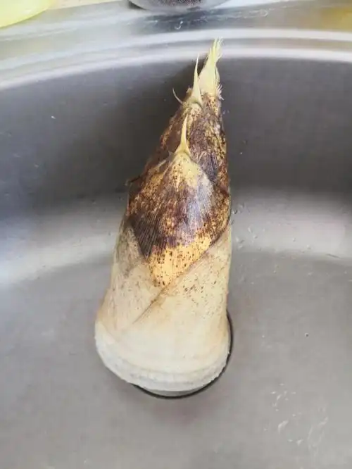 毛笋处理方法